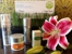 Oleander Aesthetics - Day Spas