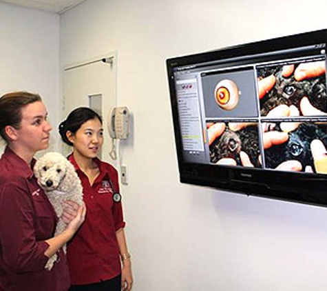 East Bundaberg Veterinary Hospital - Bundaberg East, QLD