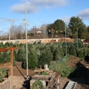 Mustard Seed Landscaping & Garden Center - Greenhouses