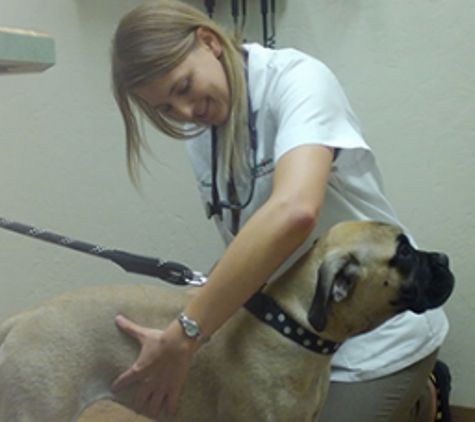 Animal Care Center of Green Valley - Green Valley, AZ