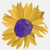 Sunny View Retirement Community gallery