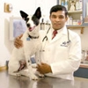 Affordable Pet Vet Clinic gallery
