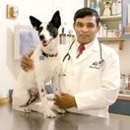 Affordable Pet Vet Clinic - Veterinary Clinics & Hospitals