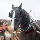 Black Tie Carriage Service