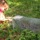 A All Animal Control of San Antonio - Bird Barriers, Repellents & Controls