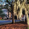 Harper-Fowlkes House gallery