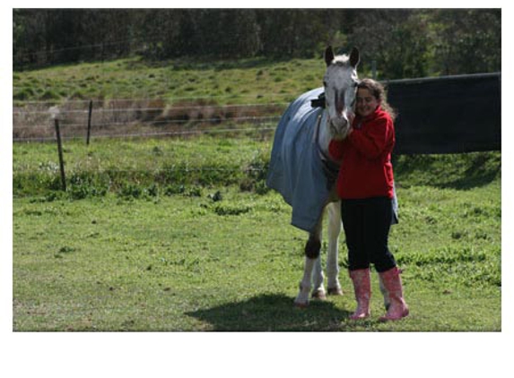 Forest Park Riding & Equitation School - Stromlo, ACT