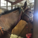 Brigadoon Stables, LLC - Horse Training