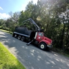 Trees by Forrest | Tree Removal Company in Plymouth, MN gallery