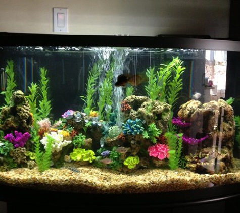 Affordable Aquarium Service - San Mateo, CA