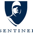 Sentinel Audit & Risk, LLC - Business Coaches & Consultants