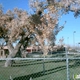 Albuquerque Water Utility Authority