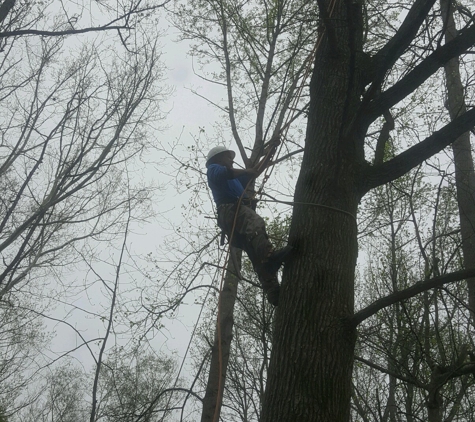 Keener Tree Service, LLC - Salisbury, NC