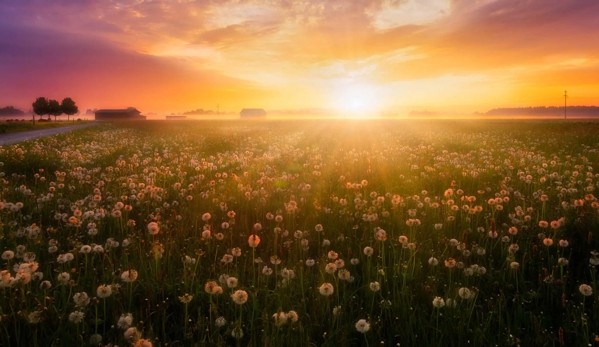 Lady Rose Funerals - Bowral, NSW