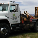 Tree Taxi - Tree Service