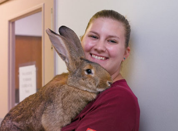 Rainbow Veterinary Hospital Inc - Burbank, CA