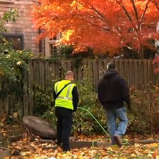 Drain Saver - West Harrison, NY