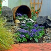 Slaczka Landscaping and Tree Service LLC gallery