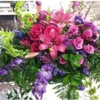 Draper Flower Pros gallery