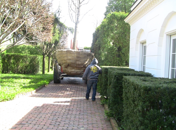 Urban Arborist - Lake Bluff, IL