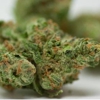 Star Buds Dispensary gallery