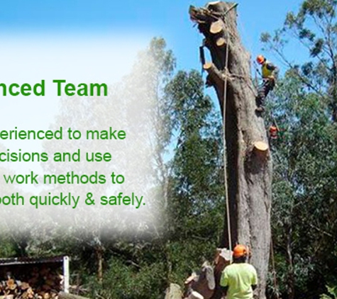Drouin Tree Services - Drouin, VIC. Experienced Team