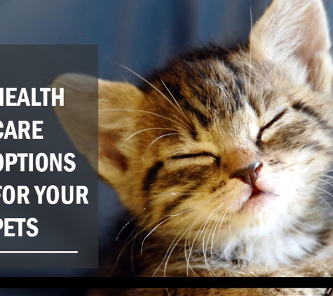 Colonel Light Veterinary Clinic - Colonel Light Gardens, SA. Health Care Options For Your Pets