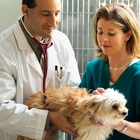 Southern Hills Veterinary Hospital