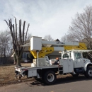 Cehand Tree Service & Construction - Tree Service