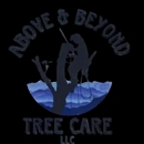Above and Beyond Tree Care - Arborists