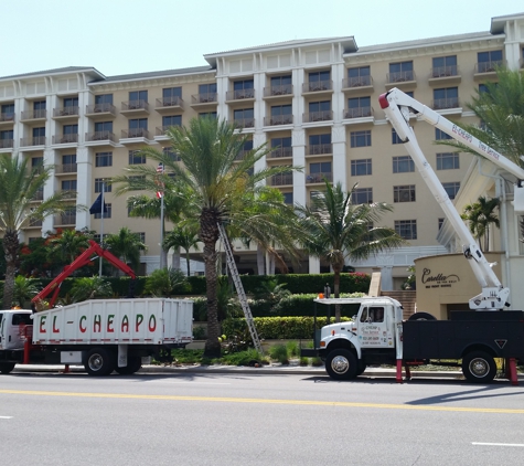 El Cheapo Tree Service - Saint Petersburg, FL