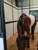 Pilchuck Veterinary Hospital, A Thrive Pet Healthcare Partner - Veterinarians