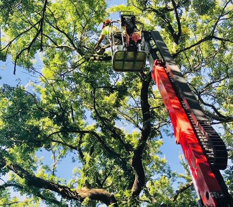 Huff's Tree Service - Wichita, KS