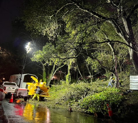 JMV Tree Service Corp - Hayward, CA