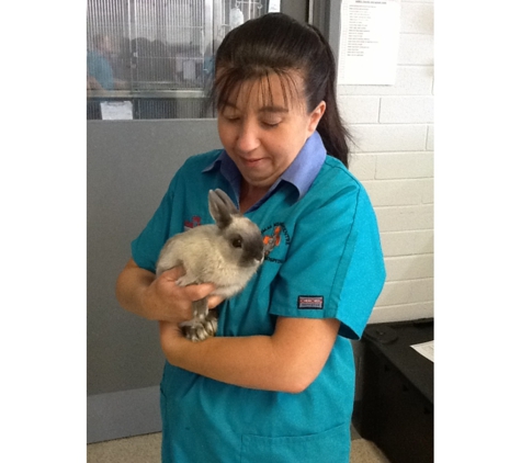 Animal Medical Centre Veterinary Hospital - Launceston, TAS