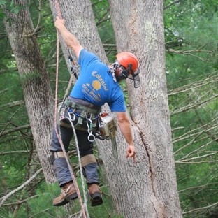 Colonial Tree Service