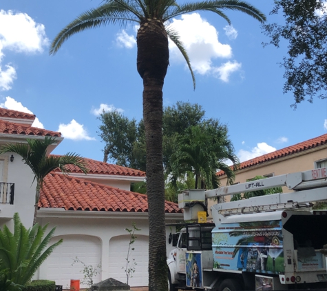 Go Green Affordable Tree Service - Hollywood, FL