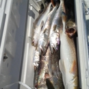 Wicked South Outfitters - Boat Rental & Charter