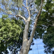 Gallery Image Number 4