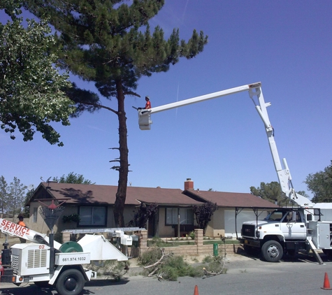 Chads Chippers Tree Service - Lancaster, CA