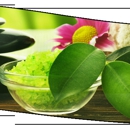 Fountain of Youth Salon & Spa - Day Spas