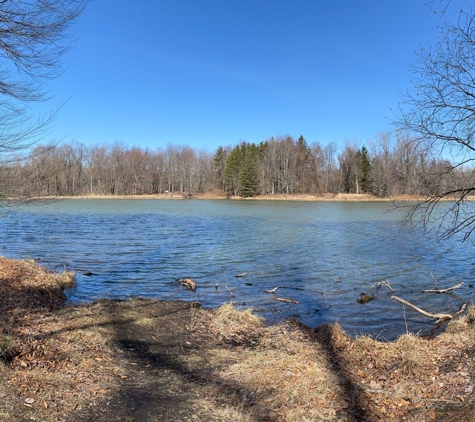 Reinstein Woods Nature Preserve - Depew, NY