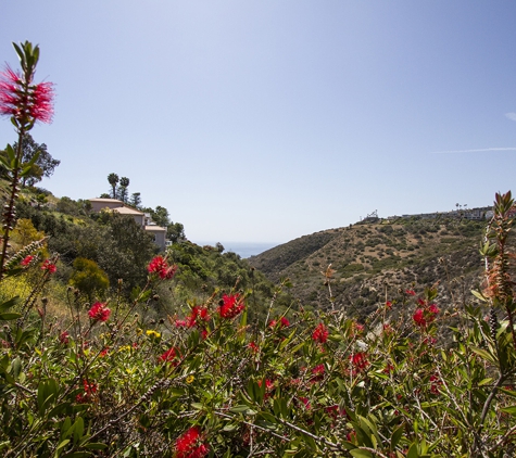 Laguna Beach Recovery - Laguna Beach, CA