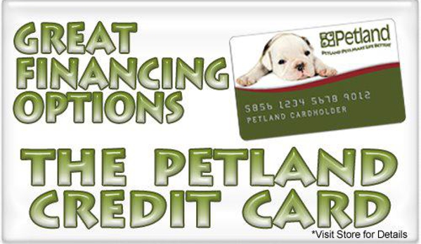 Petland of Davie - Davie, FL