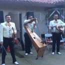 Mariachi Trio Generacion de Sacramento - Musicians