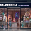Calzedonia gallery