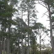 Gallery Image Number 5