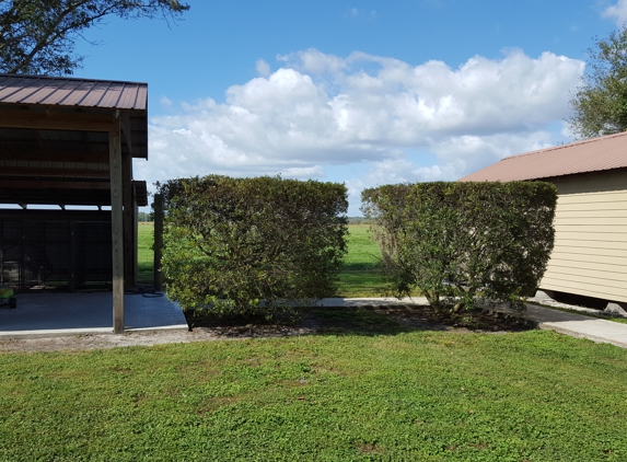 Pro Cut Lawn Care LLC - Sebring, FL