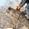 Big Foot Tree Service gallery