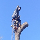 Done Right Tree Service